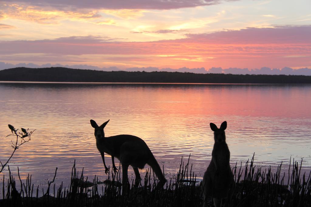 Eumarella Shores Noosa Lake Retreat Noosaville Exterior foto